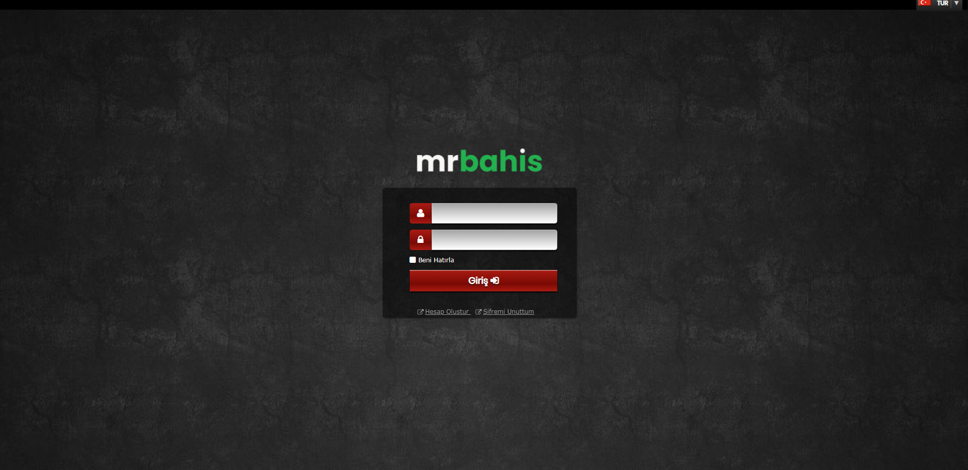 Mrbahis Yatırım Yapılır